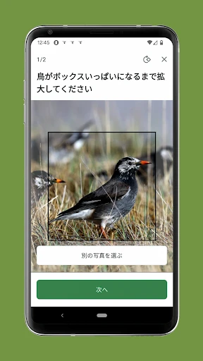 スクリーンショット